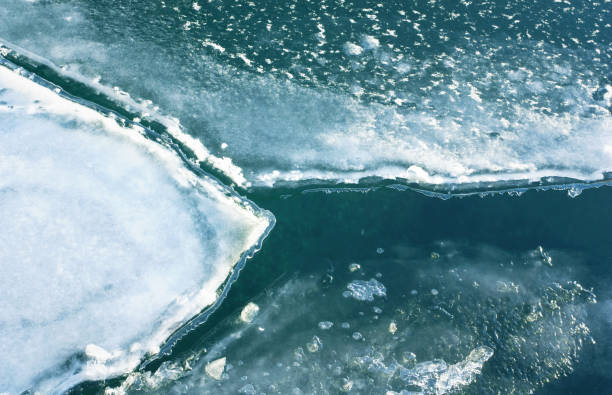 istock Above View of Ice in Water 1367016988