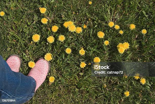 Foto de Bota Corderosa E Amarelo Dentes De Leão e mais fotos de stock de Perspectiva pessoal - Perspectiva pessoal, Acima, Adulto