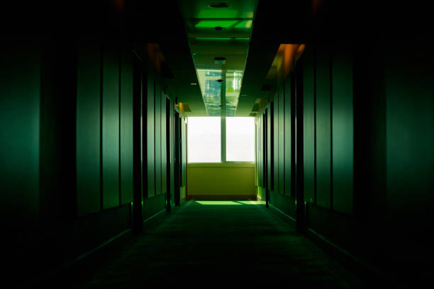 istock Green, dark, empty corridor in a hotel in perspective. 1367019057