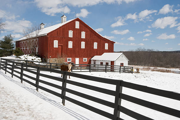 istock Red Barn in White Snow and Sun 136702001