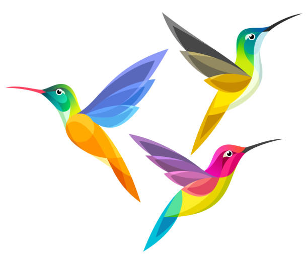 ilustrações de stock, clip art, desenhos animados e ícones de stylized birds - hummingbird - bird hummingbird flying annas hummingbird
