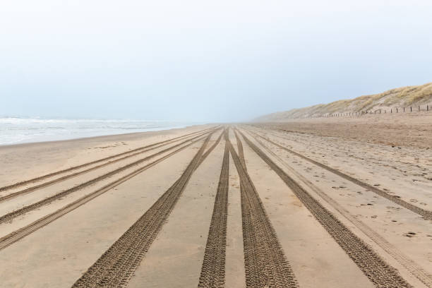 Wide angle from sea to dunes.