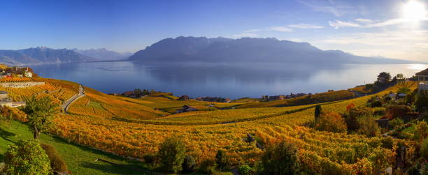 istock Panorama on Lavaux region, Vaud, Switzerland 1367028734