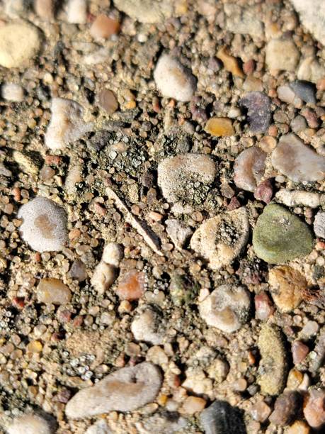 istock Close Up of Concrete 1367029010