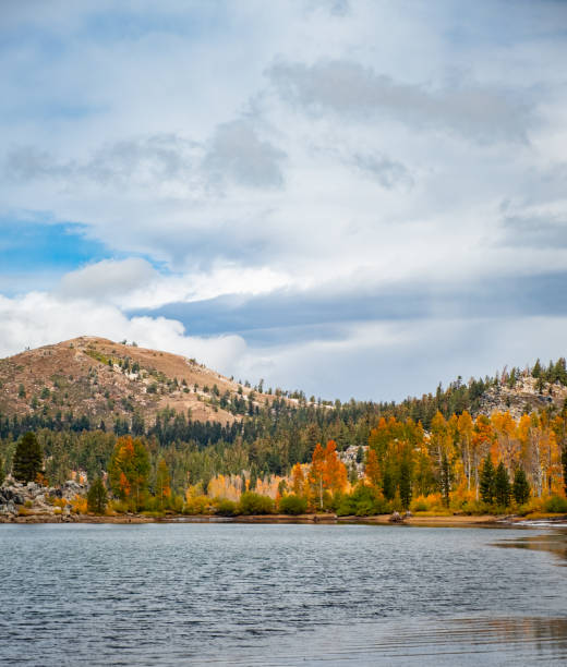 On the shore of a high elevation, Backcountry, lake near Lake Tahoe called Marlette Lake. The lake is surrounded by vibrant fall colors and a light dusting of fresh snow. The bright orange and yellow leaves can be seen reflecting in the lake. The remnant clouds of the nights storm darken the sky.