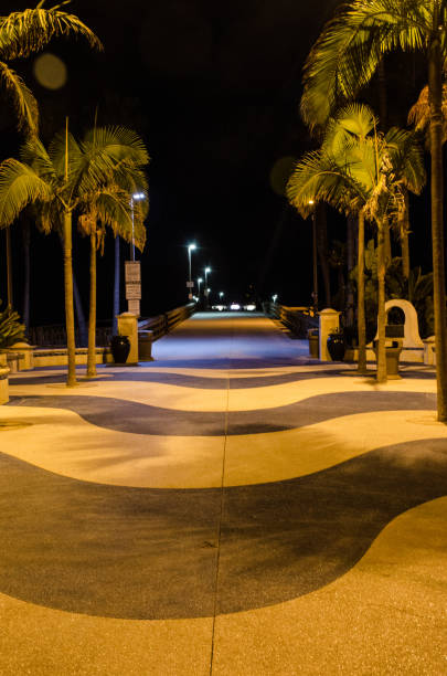 istock night beach board walk pier palm trees 1367032120