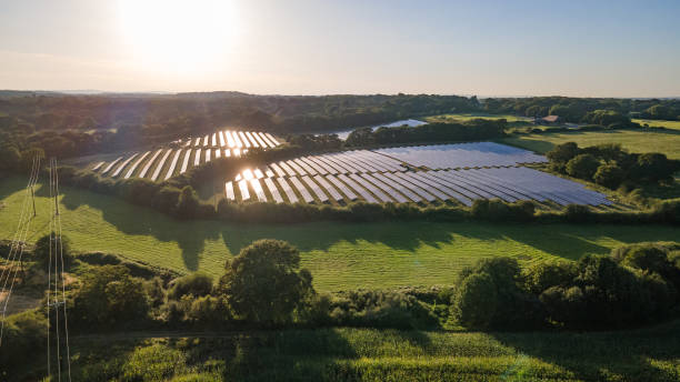 aerial view of the solar panel in solar farm in evening sun light. - 太陽能發電廠 個照片及圖片檔