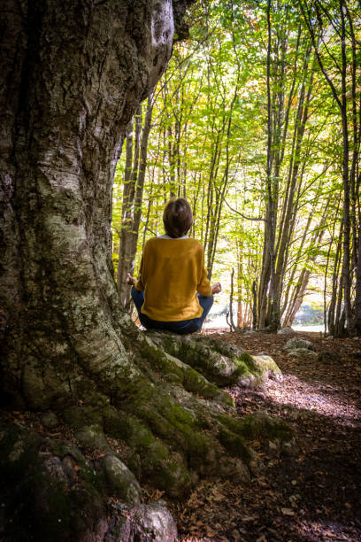 istock Yoga meditation in a beech wood. 1367035840