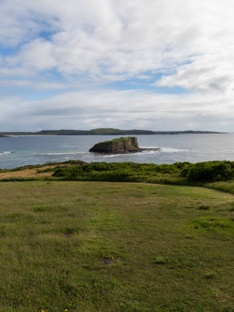 Minnamurra lookout