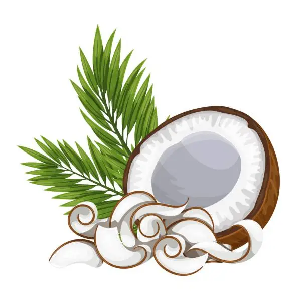 Vector illustration of Coconut shavings and half coconut