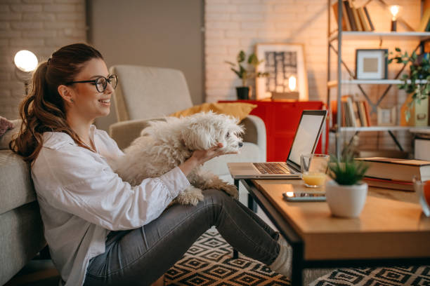 istock Young woman using laptop at home 1367039191