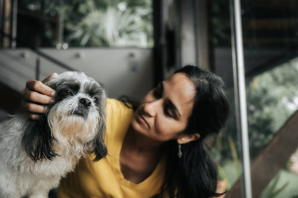 istock woman stroking little dog 1367042021