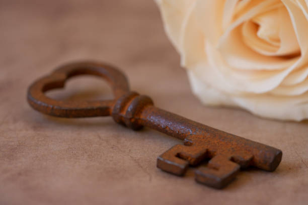 A macro, conceptual photograph includes a rusty heart shaped key and a cream colored rose  conveying love.