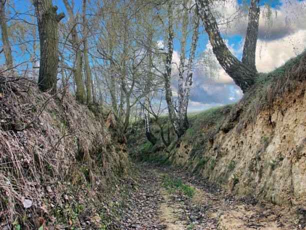 istock Rural spring landscapes , Poland 1367048243