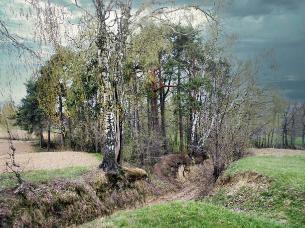 A narrow ravine with trees , dirt road, blue sky  above.  Spring landscapes, somewhere between the farmers' fields in sunny and cloudy day, podkarpackie county, Poland
