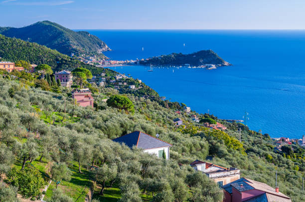 Promontory of Sestri Levante View on the coast between Lavagna and Sestri Levante, seen from Santa Giulia lavagna stock pictures, royalty-free photos & images