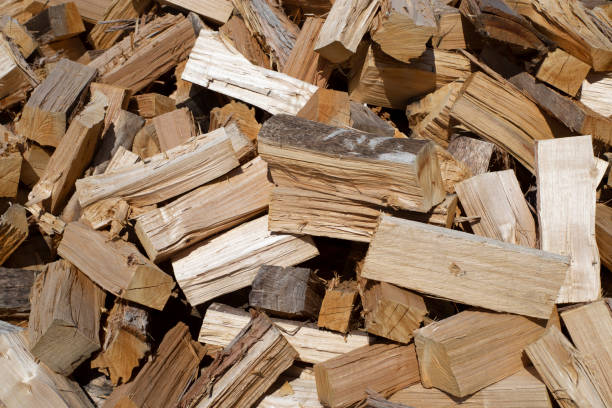 istock chopped eucalyptus firewood to burn in stoves 1367057010