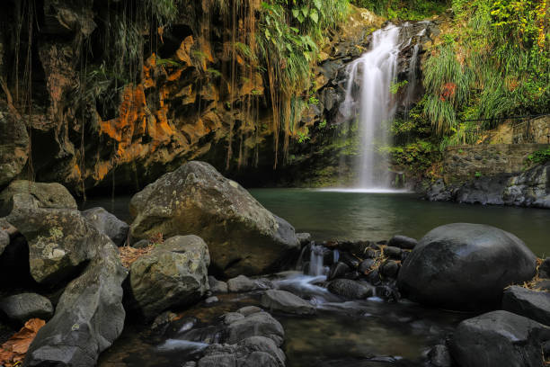 Annandale waterfalls on Grenada Island, Grenada. stock photo