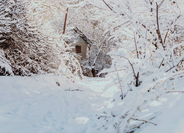 istock The house in the snow 1367062320
