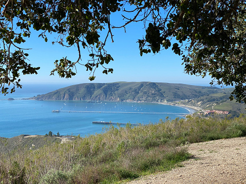 Beautiful view through the oak trees at Avila Beach, Port San Luis, and San Luis Obispo Bay. Clear blue sky and green hills