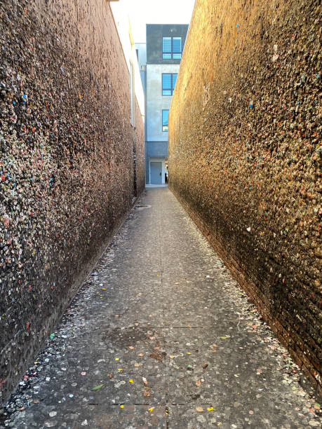 Bubble Gum Alley, San Luis Obispo, CA. Brick walls are covered with used bubble gum and millions of germs. stock photo