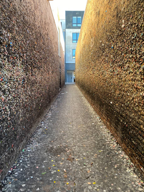 bubble gum alley, san luis obispo, ca. ceglane ściany pokryte są zużytą gumą balonową i milionami zarazków. - narrow alley zdjęcia i obrazy z banku zdjęć