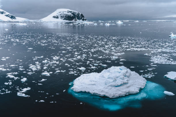 istock Ice floes and Icebergs, Antarctica 1367070464