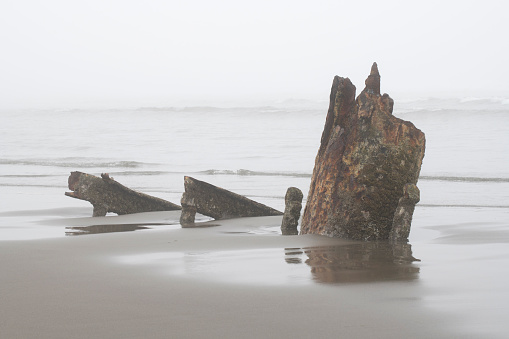 Pieces of Wreck of the Peter Iredale on beach at Fort Steven's State Park, Oregon, USA