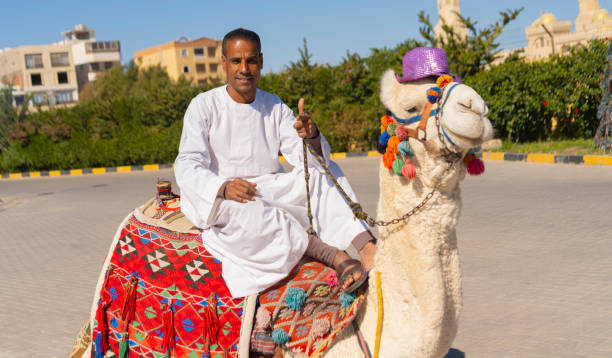 uomo arabo seduto su un cammello in una zona turistica. - clothing east africa color image colors foto e immagini stock