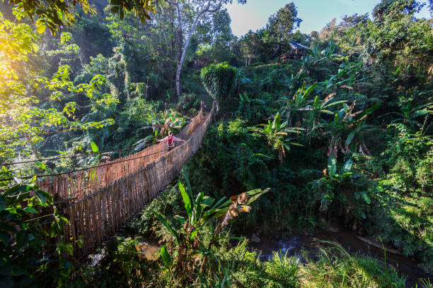 istock Woman with backpack on suspension bridge in rainforest 1367076618