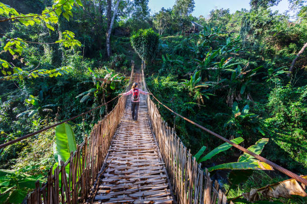 Woman with backpack on suspension bridge in rainforest stock photo