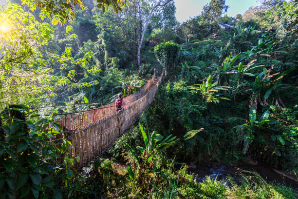 istock Woman with backpack on suspension bridge in rainforest 1367076637
