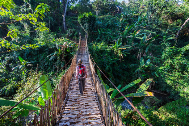 istock Woman with backpack on suspension bridge in rainforest 1367076638
