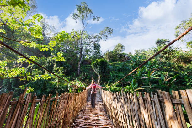 istock Woman with backpack on suspension bridge in rainforest 1367076643