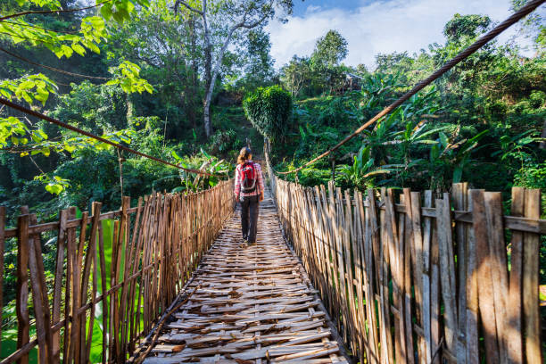 istock Woman with backpack on suspension bridge in rainforest 1367076645
