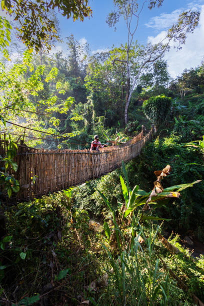 istock Woman with backpack on suspension bridge in rainforest 1367076647