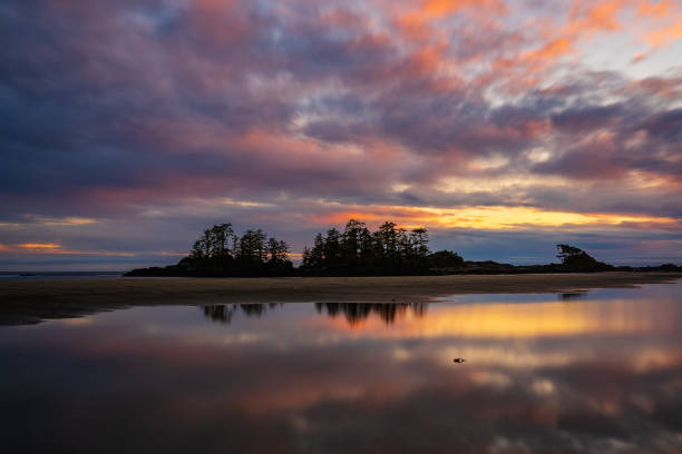 istock Chesterman Beach Tofino Vancouver Island. 1367078541