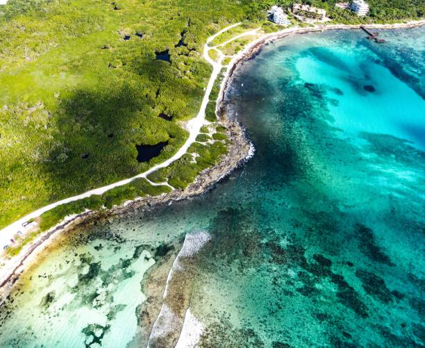 istock Half n half shot via drone featuring water meets land. 1367081704