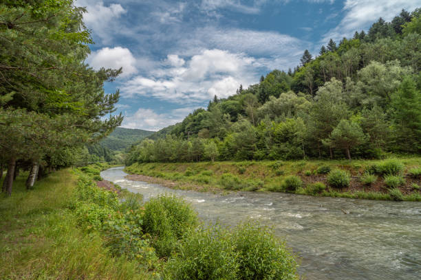 istock A walk by the river, the Low Beskids 1367082050