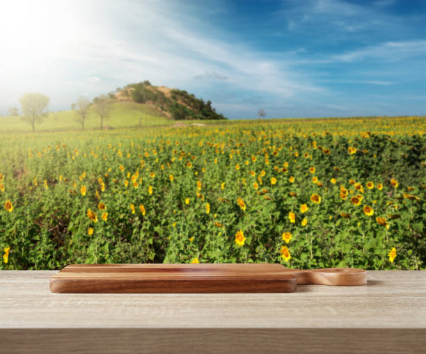 planche à découper en bois sur table pour le produit debout contre le champ de tournesol - sunflower field scenics landscape photos et images de collection