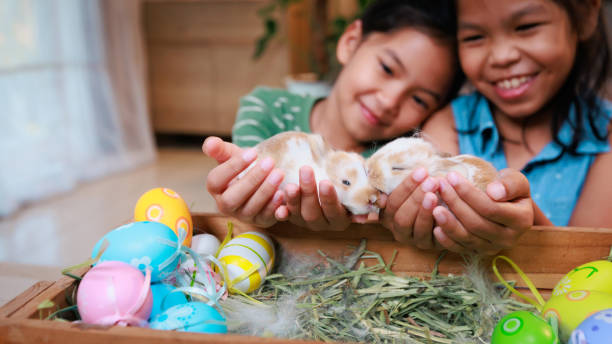 istock Asian siblings children are playing with baby bunny and decorating easter eggs preparing for Easter at home together with fun. Happy family Happy easter Happy holiday. 1367087866