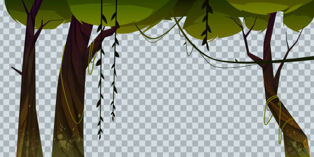 ilustrações de stock, clip art, desenhos animados e ícones de jungle with trees and lianas, forest plants - tree tree trunk forest glade