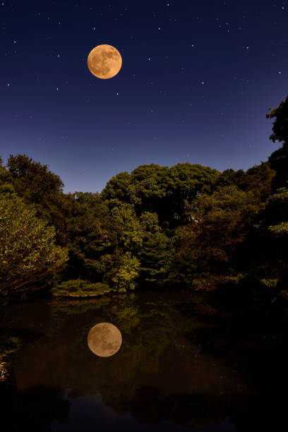 Full moon rising over the lake and reflected on the lake surface, with copy space.