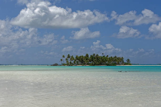 istock Rangiroa - tuamotu - french polynesia 1367092295