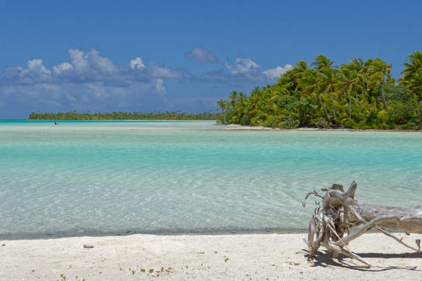 istock Rangiroa - tuamotu - french polynesia 1367092969