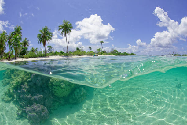 istock translucent lagoon of rangiroa 1367094142