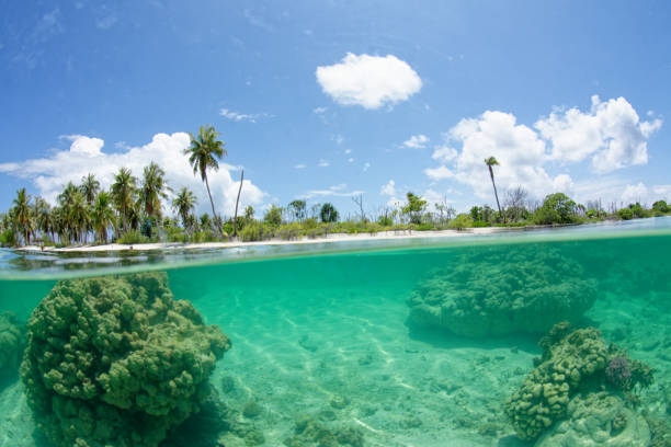 istock translucent lagoon of rangiroa 1367094255