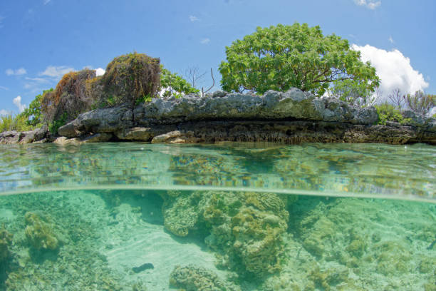 istock translucent lagoon of rangiroa 1367094394