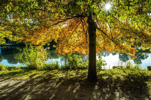 Lake Genval, Belgium