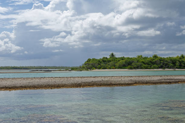 istock Rangiroa - tuamotu - french polyneia 1367099545